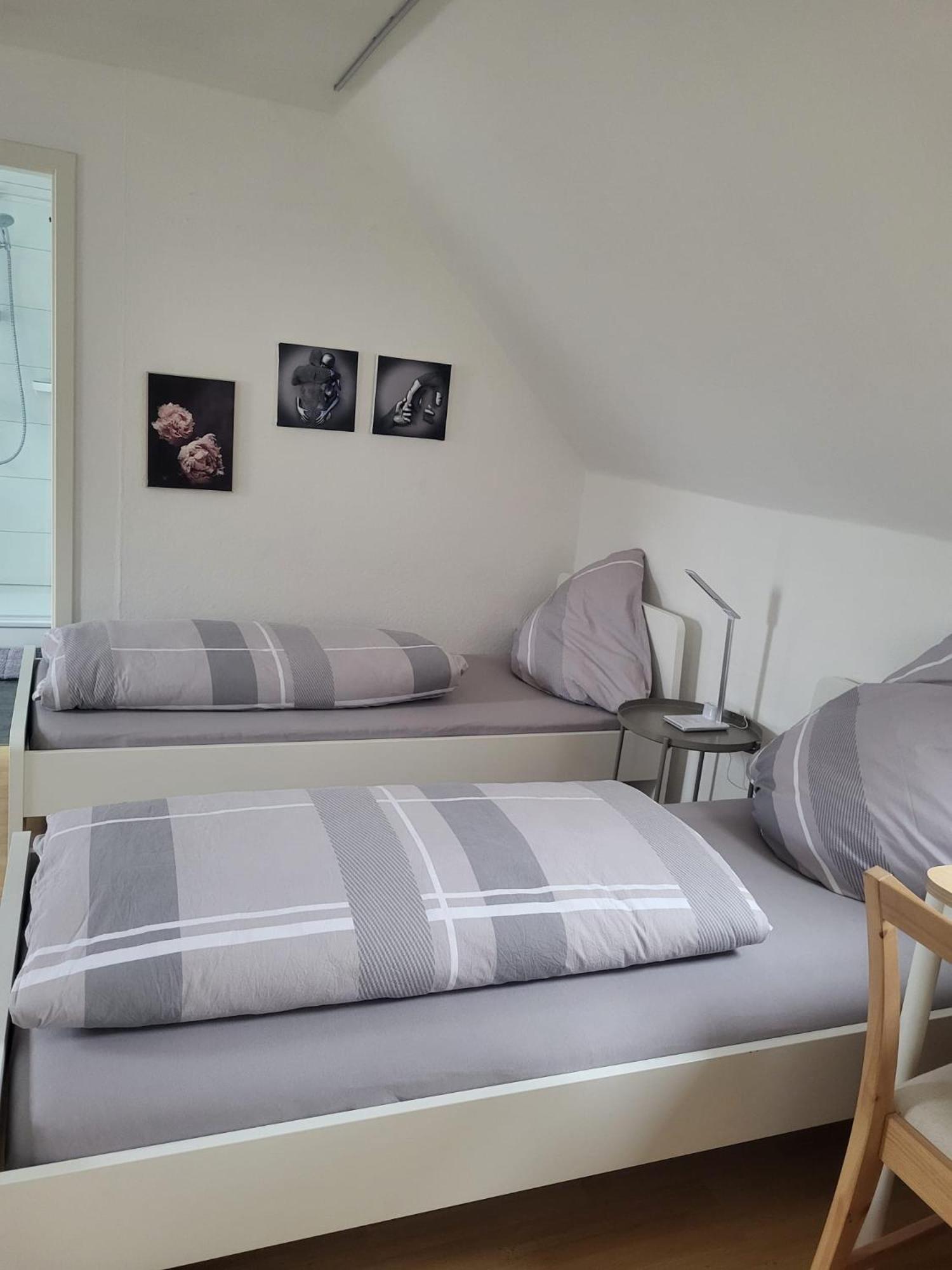 A&V Apartments Gemuetliche Rheinblick Wohnung Apt Daisy Дуйсбург Экстерьер фото